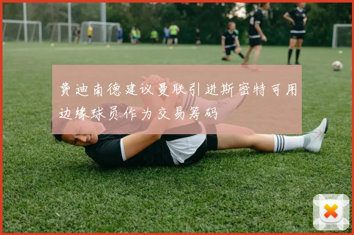 费迪南德建议曼联引进斯密特可用边缘球员作为交易筹码
